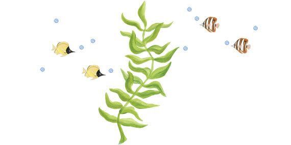 Seaweed Wall Decals